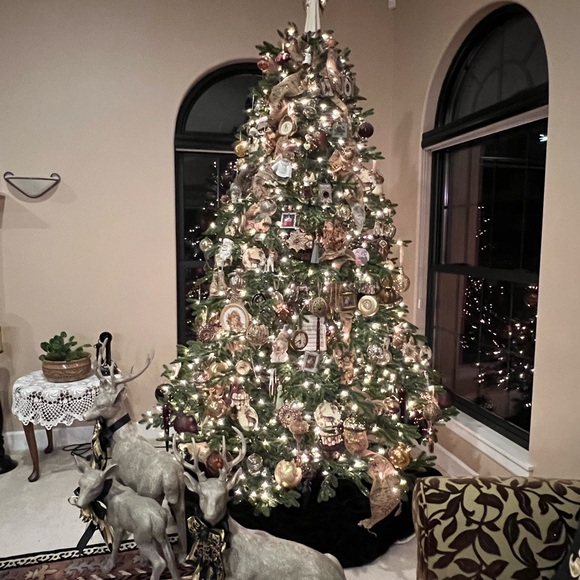 Meet your Posher - Picture 1 of 13